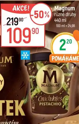 Globus Magnum nabídka