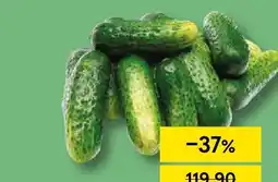 Tesco Okurky nakládačky nabídka