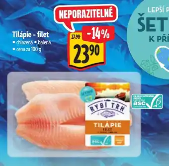 Albert Tilápie - filet nabídka
