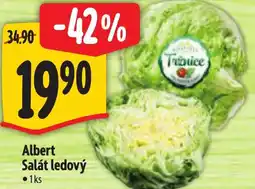 Albert Albert Salát ledový nabídka
