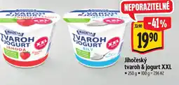 Albert Madeta Jihočeský tvaroh & jogurt XXL nabídka