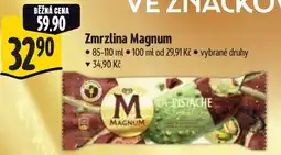 Albert Zmrzlina Magnum nabídka