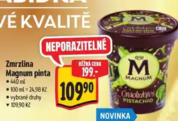 Albert Zmrzlina Magnum pinta nabídka