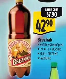Albert Březňák nabídka