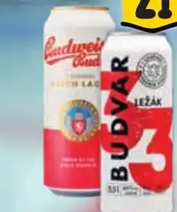 Albert Budweiser Budvar Original/ Budvar 33 nabídka