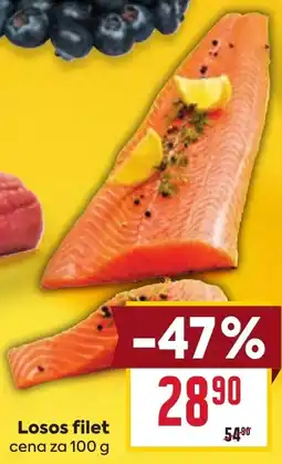 Billa Losos filet nabídka