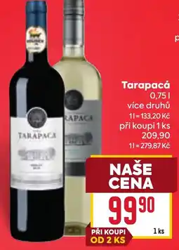 Billa Tarapacá nabídka