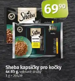 COOP TIP Sheba kapsičky pro kočky nabídka