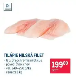 Makro TILÁPIE NILSKÁ FILET nabídka