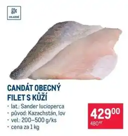 Makro Candát obecný filet s kůží nabídka