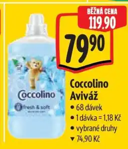Albert Coccolino aviváž nabídka