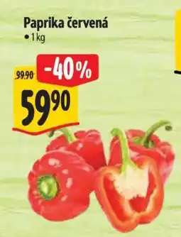 Albert Paprika červená nabídka