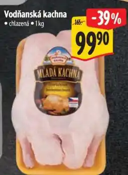 Albert Vodňanská kachna nabídka