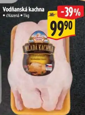 Albert Vodňanská kachna nabídka