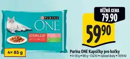 Albert Purina ONE Kapsičky pro kočky nabídka