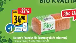 Albert Nature's Promise Bio Toastový chléb celozrnný nabídka