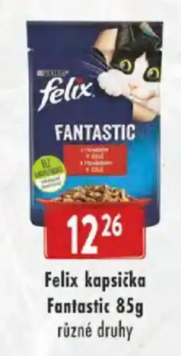 Astur&Qanto Felix kapsička Fantastic nabídka