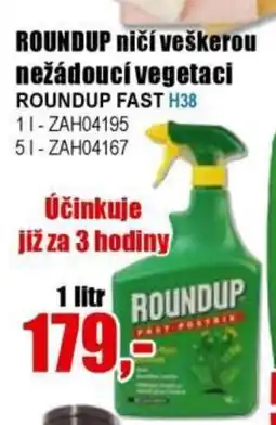 EVA ROUNDUP ničí veškerou nežádoucí vegetaci nabídka