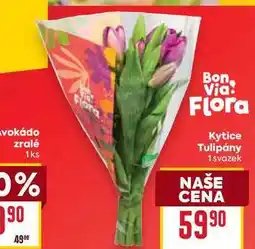 Billa Kytice Tulipány 1 svazek nabídka
