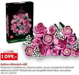 Pompo Kytice růžových růží nabídka