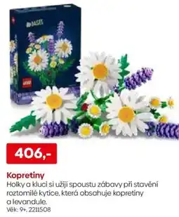 Pompo Kopretiny nabídka