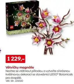 Pompo Větvičky magnólie nabídka