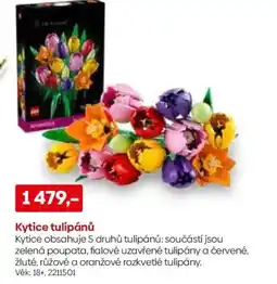 Pompo Kytice tulipánů nabídka