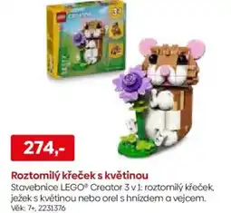 Pompo Roztomilý křeček s květinou nabídka