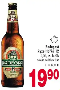Qanto Radegast Ryze Hořká 12 nabídka