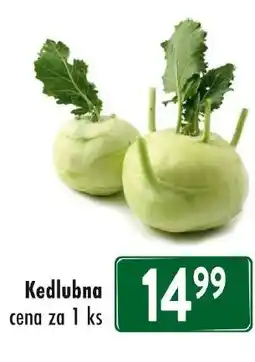 Qanto Kedlubna nabídka