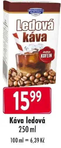 Qanto Káva ledová nabídka