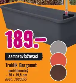 Hornbach Truhlík Bergamot nabídka