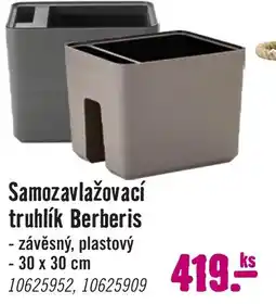 Hornbach Samozavlažovací truhlík Berberis nabídka
