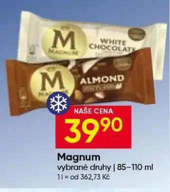 Hruška Magnum nabídka