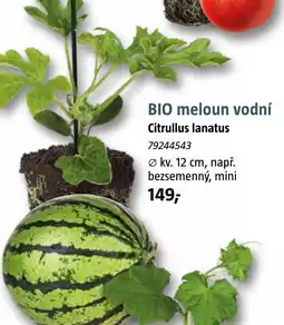 Bauhaus BIO meloun vodní nabídka