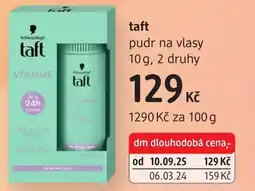 dm drogerie Taft pudr na vlasy nabídka