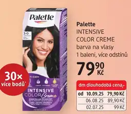 dm drogerie Palette INTENSIVE COLOR Creme barva na vlasy nabídka