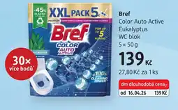 dm drogerie Bref Color Auto Active Eukalyptus WC blok nabídka