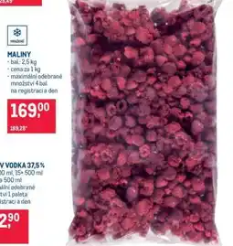 Makro Maliny nabídka