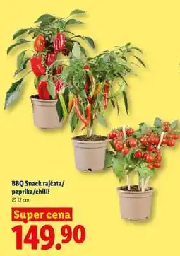 Lidl BBQ Snack rajčata/paprika/chilli nabídka