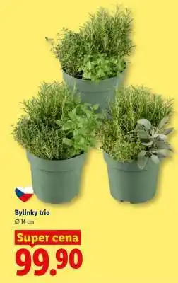 Lidl Bylinky trio nabídka