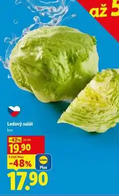 Lidl Ledový salát nabídka
