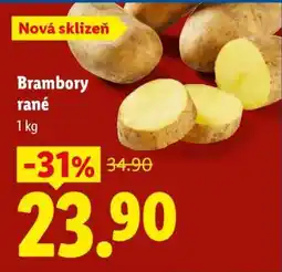 Lidl Brambory rané nabídka
