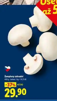 Lidl ŽAMPIONY ZAHRADNÍ nabídka