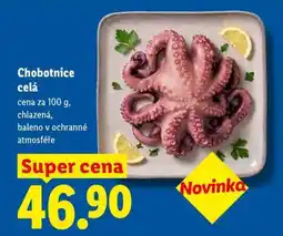 Lidl Chobotnice celá nabídka