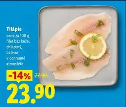 Lidl Tilápie nabídka