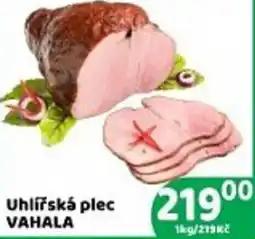 Brněnka Uhlířská plec nabídka