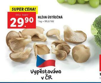 Lidl Hlíva ústřičná nabídka