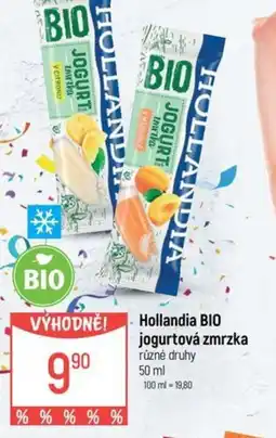 Globus Hollandia BIO jogurtová zmrzka nabídka