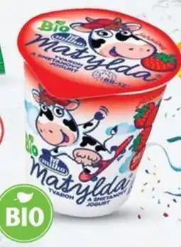 Globus Milko BIO Matylda Jahodová tvaroh a smetanový jogurt nabídka